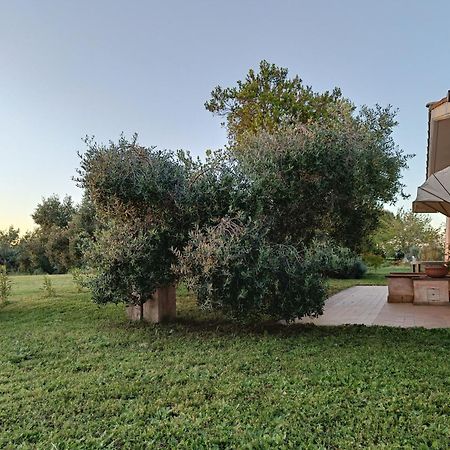 Agriturismo Fontelupo Браччано Экстерьер фото