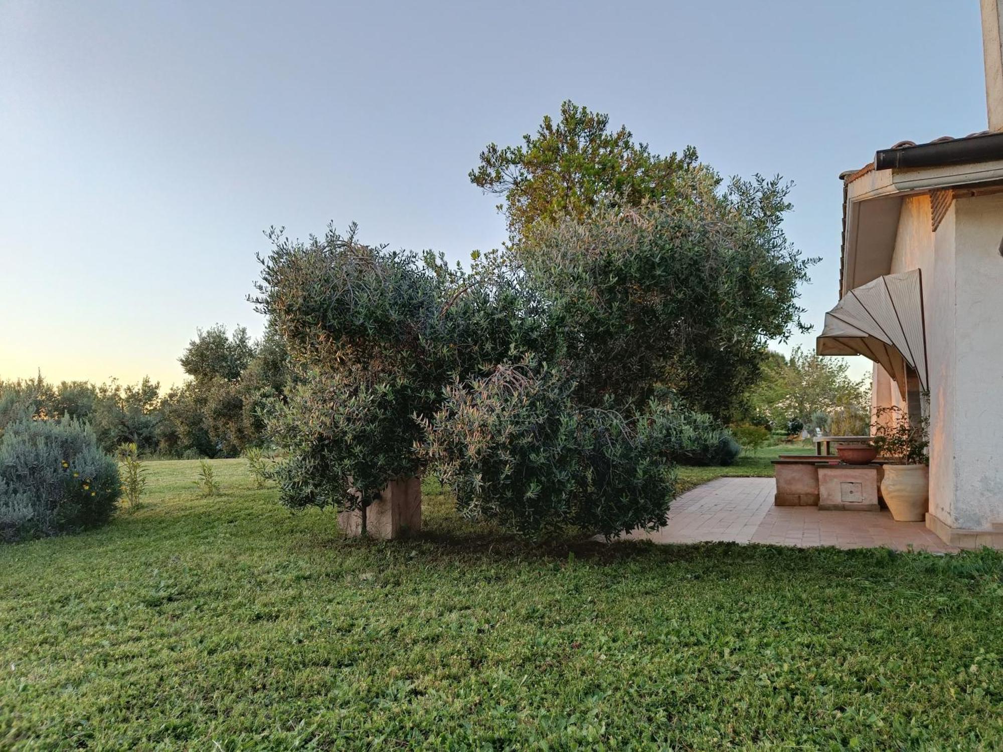 Agriturismo Fontelupo Браччано Экстерьер фото