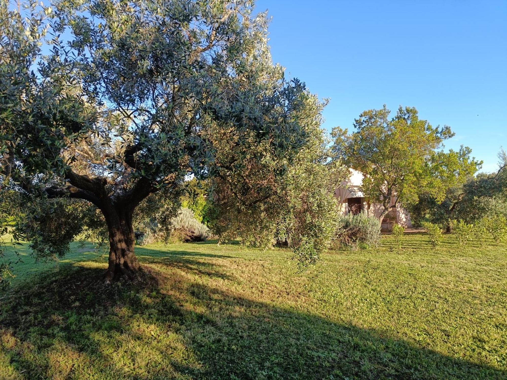 Agriturismo Fontelupo Браччано Экстерьер фото